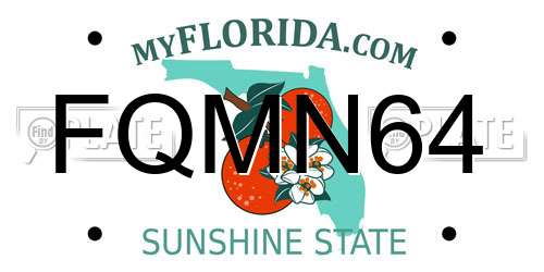 FQMN64 Florida License Plate