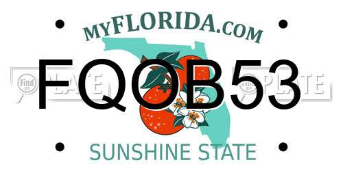 FQOB53 Florida License Plate