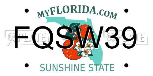 FQSW39 Florida License Plate
