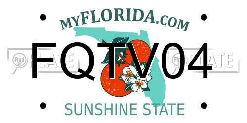 FQTV04 Florida License Plate