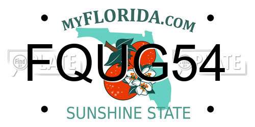FQUG54 Florida License Plate