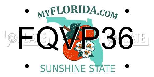 FQVP36 Florida License Plate