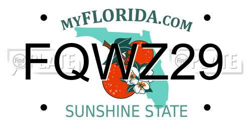 FQWZ29 Florida License Plate