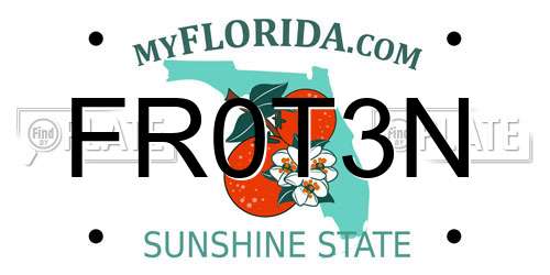 FR0T3N Florida License Plate