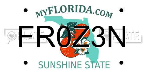FR0Z3N Florida License Plate