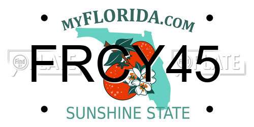 FRCY45 Florida License Plate