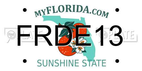 FRDE13 Florida License Plate