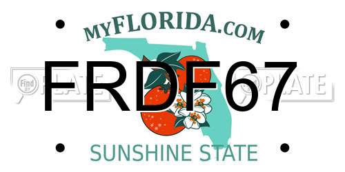 FRDF67 Florida License Plate
