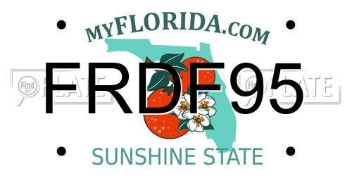 FRDF95 Florida License Plate