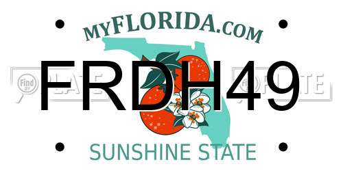 FRDH49 Florida License Plate
