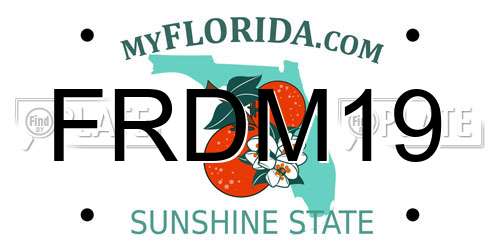 FRDM19 Florida License Plate