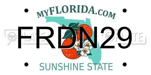 FRDN29 Florida License Plate