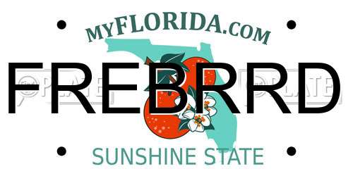 FREBRRD Florida License Plate