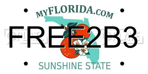 FREE2B3 Florida License Plate