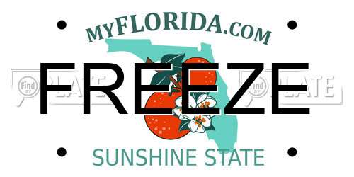 FREEZE Florida License Plate