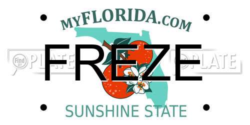 FREZE Florida License Plate