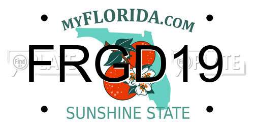 FRGD19 Florida License Plate