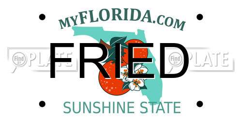 FRIED Florida License Plate