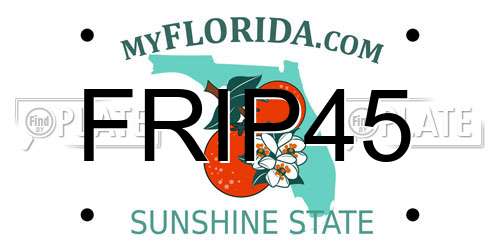 FRIP45 Florida License Plate