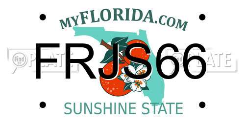 FRJS66 Florida License Plate