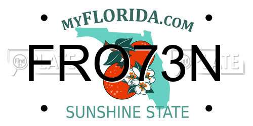 FRO73N Florida License Plate