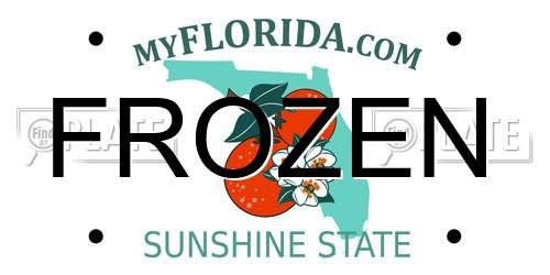 FROZEN Florida License Plate