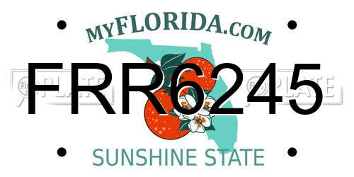 FRR6245 Florida License Plate