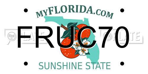 FRUC70 Florida License Plate