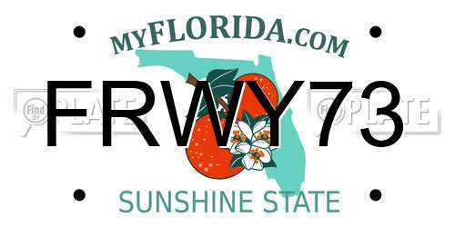 FRWY73 Florida License Plate