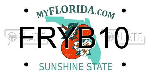 FRYB10 Florida License Plate