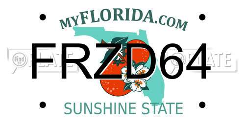 FRZD64 Florida License Plate