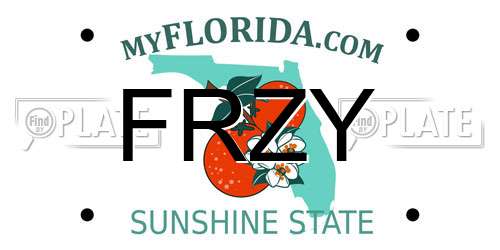 FRZY Florida License Plate
