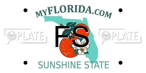 FS Florida License Plate