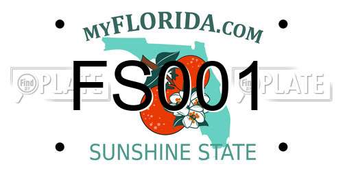 FS001 Florida License Plate