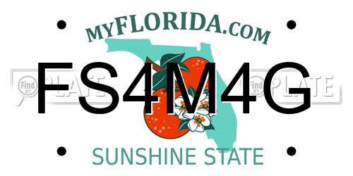 FS4M4G Florida License Plate
