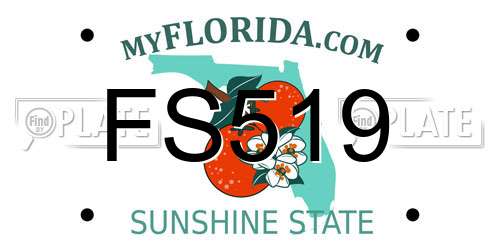 FS519 Florida License Plate