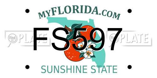 FS597 Florida License Plate