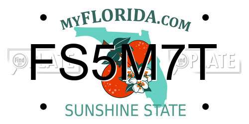 FS5M7T Florida License Plate