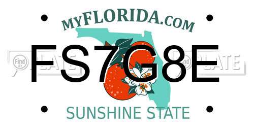 FS7G8E Florida License Plate