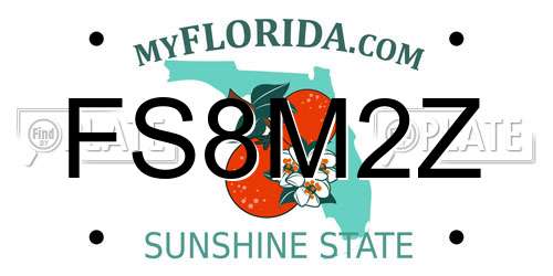 FS8M2Z Florida License Plate