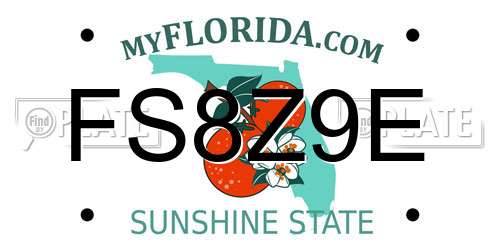 FS8Z9E Florida License Plate