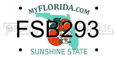 FSB293 Florida License Plate