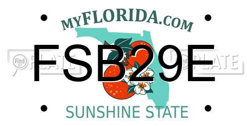 FSB29E Florida License Plate