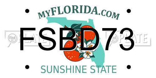 FSBD73 Florida License Plate