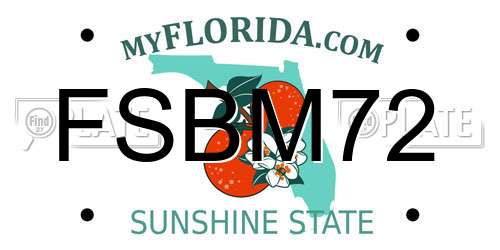 FSBM72 Florida License Plate