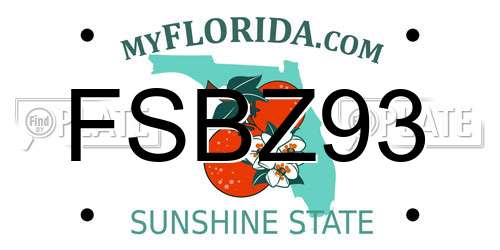 FSBZ93 Florida License Plate