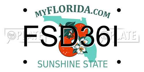 FSD36I Florida License Plate