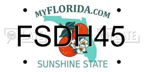 FSDH45 Florida License Plate