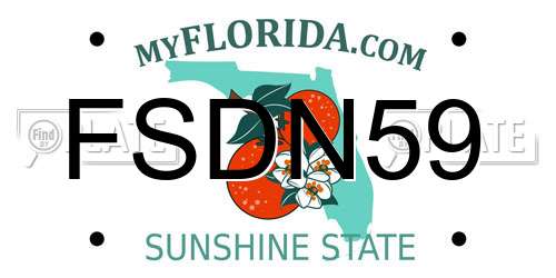 FSDN59 Florida License Plate