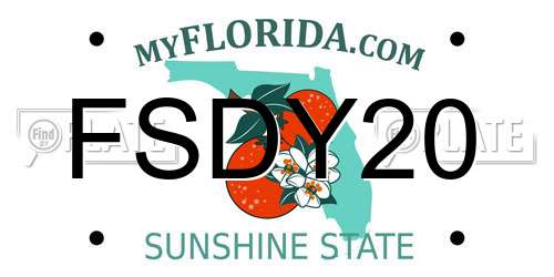 FSDY20 Florida License Plate